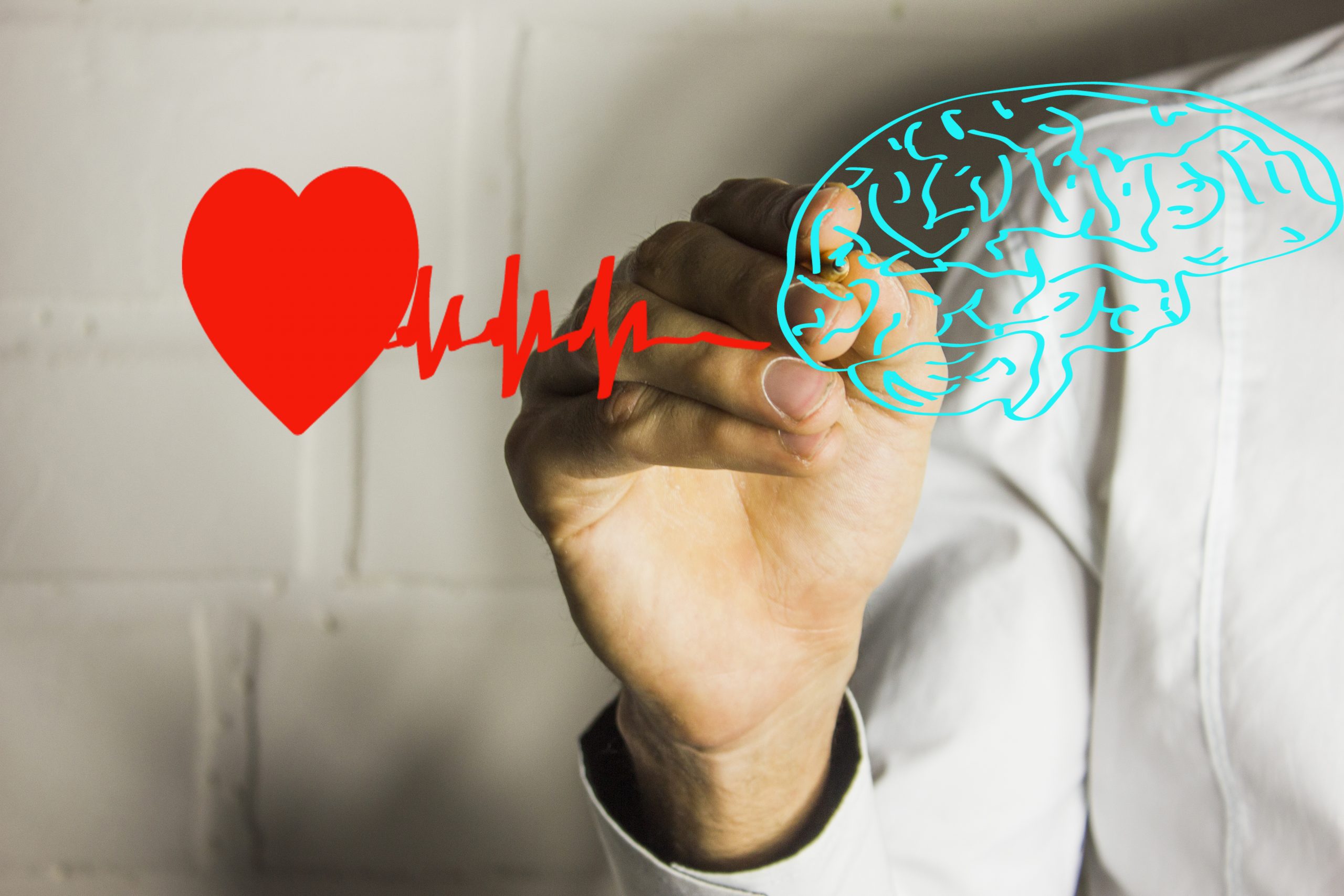 The Connection Between Brain Health and Heart Health